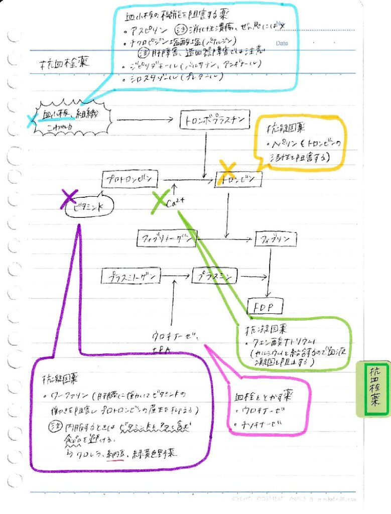 抗凝固薬と作用機序のノートです。どれもよく使用される薬ですが、どこに作用しているのかも含めて理解しておくことがポイントです。